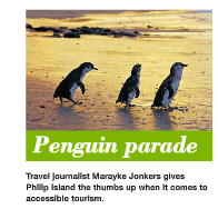 Penguin  Parade: Phillip Island  Victoria
