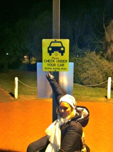 penguin parking sign