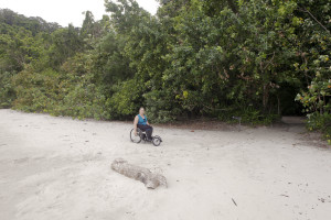 img. 762